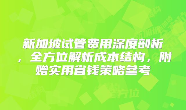 新加坡试管费用深度剖析，全方位解析成本结构，附赠实用省钱策略参考