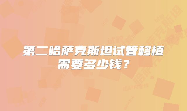 第二哈萨克斯坦试管移植需要多少钱？