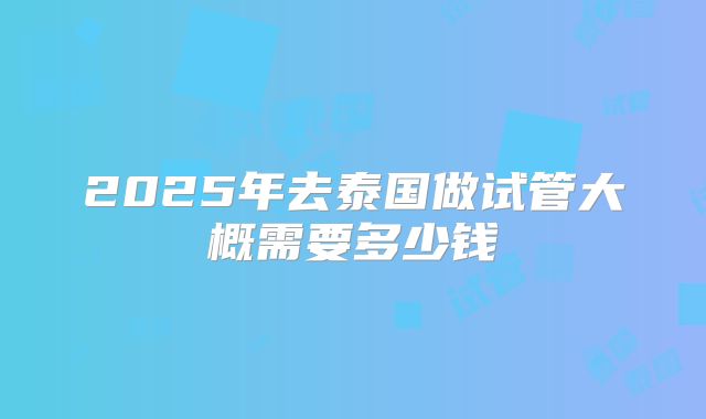 2025年去泰国做试管大概需要多少钱