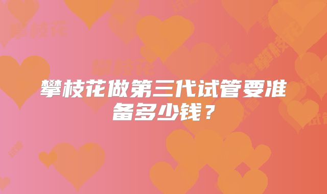 攀枝花做第三代试管要准备多少钱?