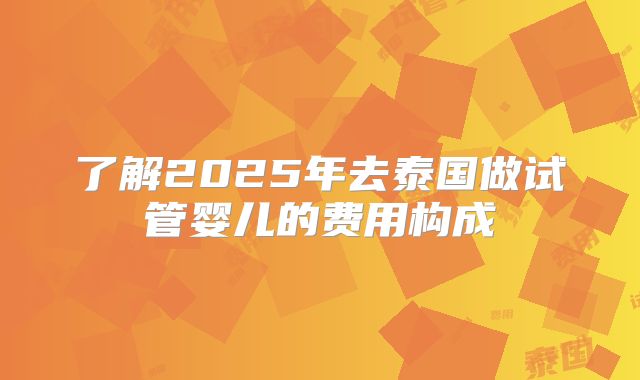 了解2025年去泰国做试管婴儿的费用构成