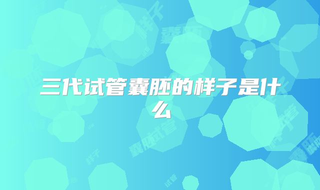 三代试管囊胚的样子是什么