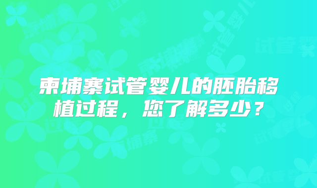 柬埔寨试管婴儿的胚胎移植过程，您了解多少？