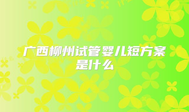 广西柳州试管婴儿短方案是什么