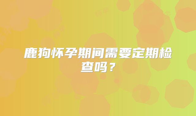 鹿狗怀孕期间需要定期检查吗?