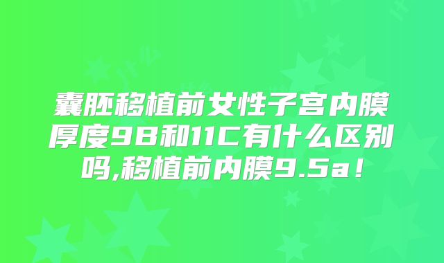 囊胚移植前女性子宫内膜厚度9B和11C有什么区别吗,移植前内膜9.5a!