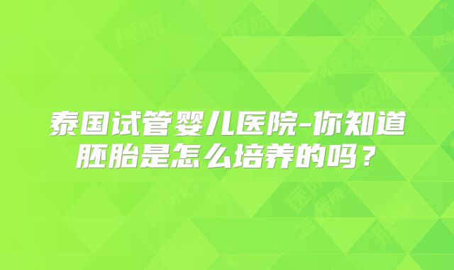 泰国试管婴儿医院-你知道胚胎是怎么培养的吗？