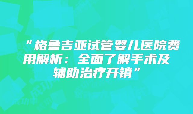 “格鲁吉亚试管婴儿医院费用解析：全面了解手术及辅助治疗开销”