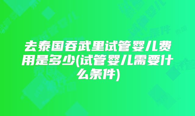 去泰国吞武里试管婴儿费用是多少(试管婴儿需要什么条件)
