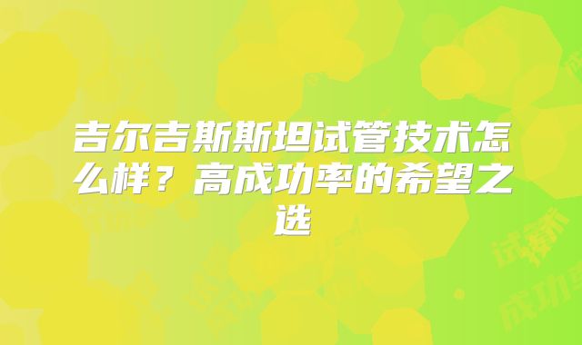 吉尔吉斯斯坦试管技术怎么样？高成功率的希望之选