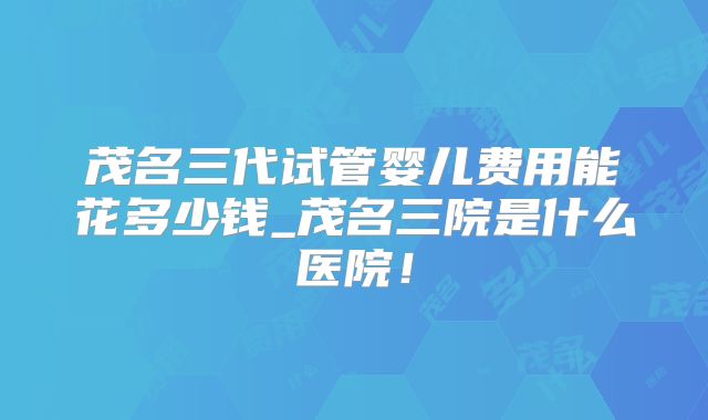 茂名三代试管婴儿费用能花多少钱_茂名三院是什么医院！