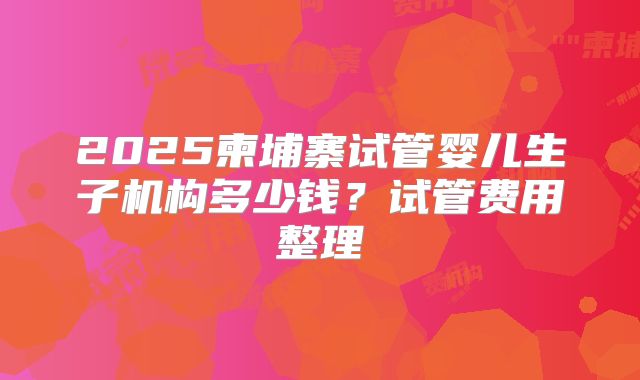 2025柬埔寨试管婴儿生子机构多少钱？试管费用整理