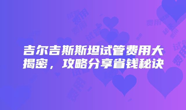 吉尔吉斯斯坦试管费用大揭密，攻略分享省钱秘诀