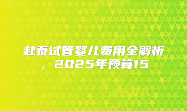 赴泰试管婴儿费用全解析，2025年预算15