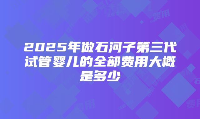 2025年做石河子第三代试管婴儿的全部费用大概是多少