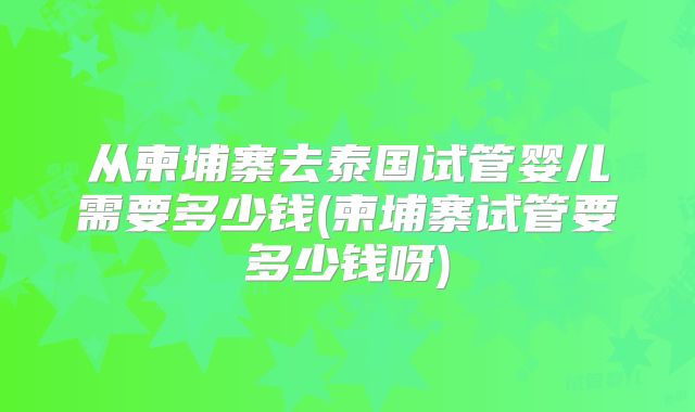 从柬埔寨去泰国试管婴儿需要多少钱(柬埔寨试管要多少钱呀)