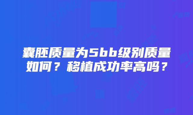 囊胚质量为5bb级别质量如何?移植成功率高吗?