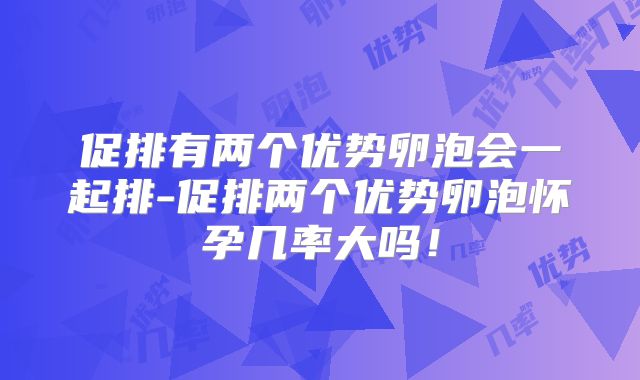 促排有两个优势卵泡会一起排-促排两个优势卵泡怀孕几率大吗!