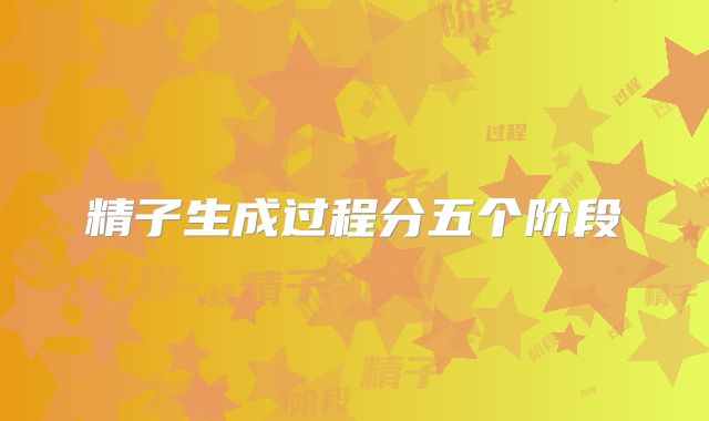 精子生成过程分五个阶段