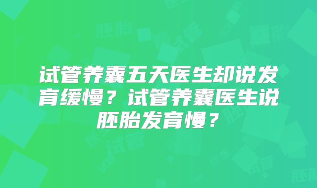 试管养囊五天医生却说发育缓慢？试管养囊医生说胚胎发育慢？