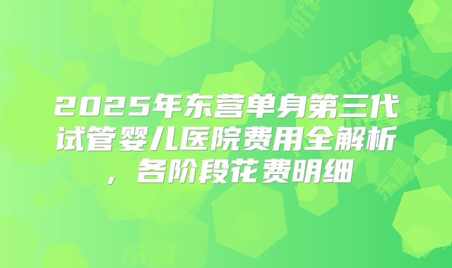 2025年东营单身第三代试管婴儿医院费用全解析，各阶段花费明细