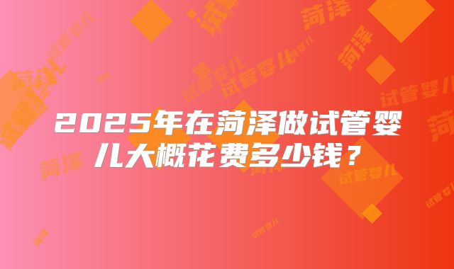 2025年在菏泽做试管婴儿大概花费多少钱？