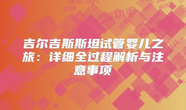 吉尔吉斯斯坦试管婴儿之旅：详细全过程解析与注意事项
