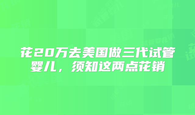 花20万去美国做三代试管婴儿，须知这两点花销