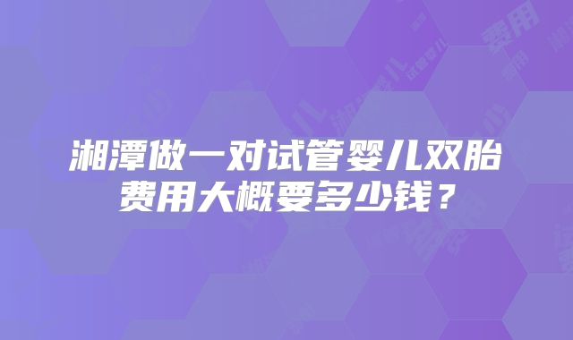 湘潭做一对试管婴儿双胎费用大概要多少钱？