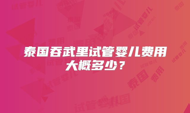 泰国吞武里试管婴儿费用大概多少?