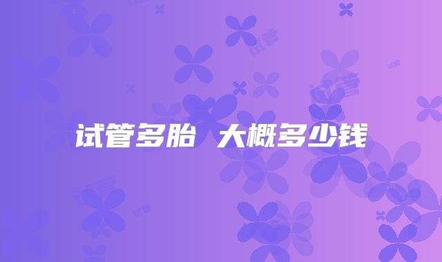 试管多胎 大概多少钱