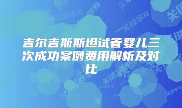 吉尔吉斯斯坦试管婴儿三次成功案例费用解析及对比