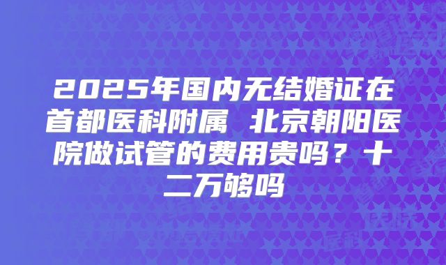 2025年国内无结婚证在首都医科附属 北京朝阳医院做试管的费用贵吗？十二万够吗