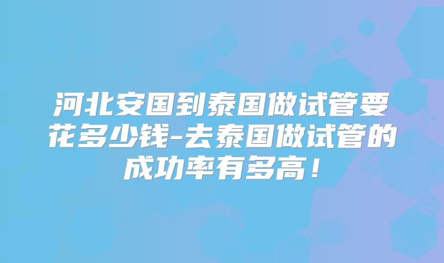 河北安国到泰国做试管要花多少钱-去泰国做试管的成功率有多高！