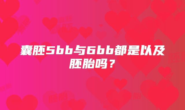 囊胚5bb与6bb都是以及胚胎吗？