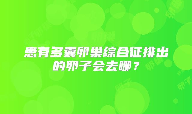 患有多囊卵巢综合征排出的卵子会去哪？