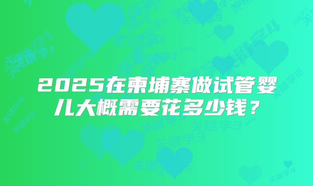 2025在柬埔寨做试管婴儿大概需要花多少钱?