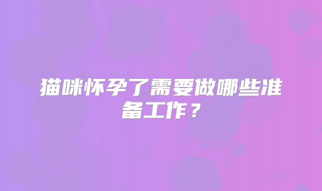 猫咪怀孕了需要做哪些准备工作？