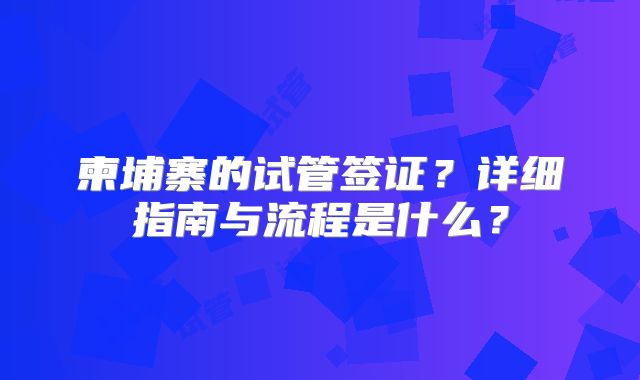 柬埔寨的试管签证？详细指南与流程是什么？