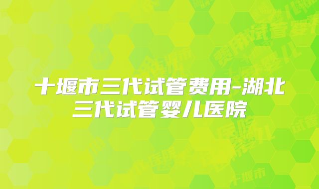 十堰市三代试管费用-湖北三代试管婴儿医院