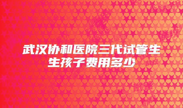 武汉协和医院三代试管生生孩子费用多少