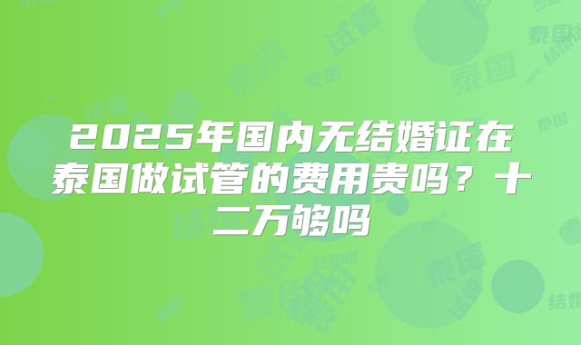 2025年国内无结婚证在泰国做试管的费用贵吗?十二万够吗