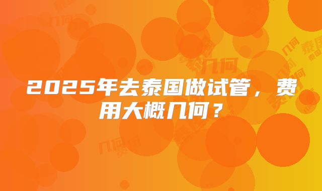 2025年去泰国做试管，费用大概几何？