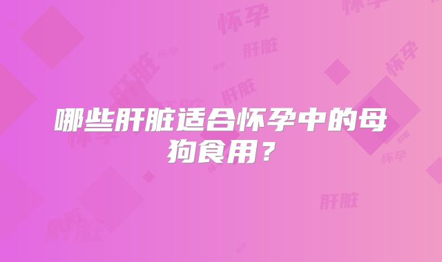 哪些肝脏适合怀孕中的母狗食用？