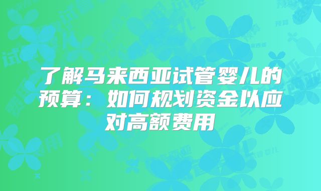 了解马来西亚试管婴儿的预算：如何规划资金以应对高额费用