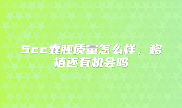 5cc囊胚质量怎么样,移植还有机会吗