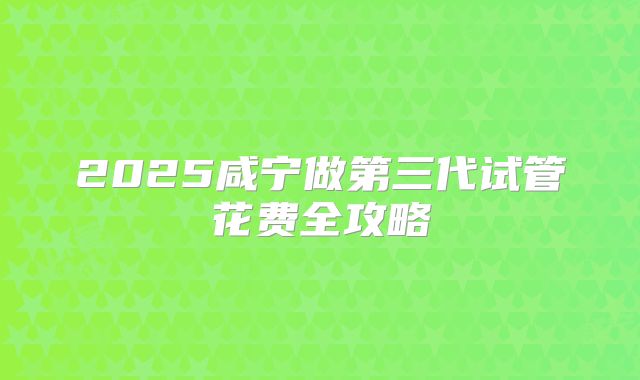 2025咸宁做第三代试管花费全攻略