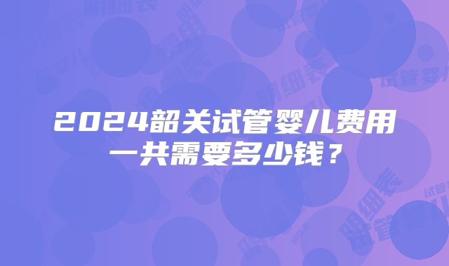 2024韶关试管婴儿费用一共需要多少钱？