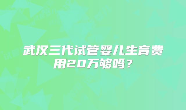 武汉三代试管婴儿生育费用20万够吗?