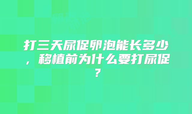 打三天尿促卵泡能长多少，移植前为什么要打尿促？